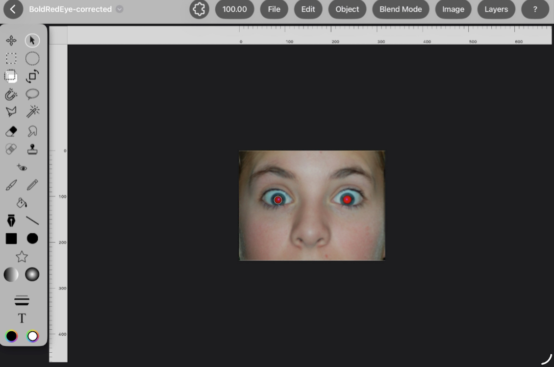 Genie Photo interface on iPad